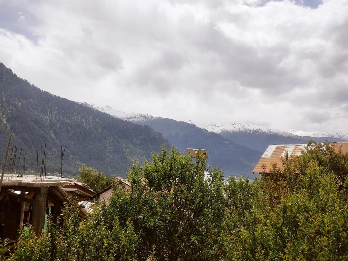 Woods Inn Mountain View Manali Exterior foto